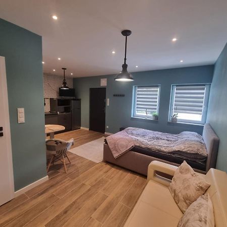 Apartament Milena Kruszyn  Εξωτερικό φωτογραφία